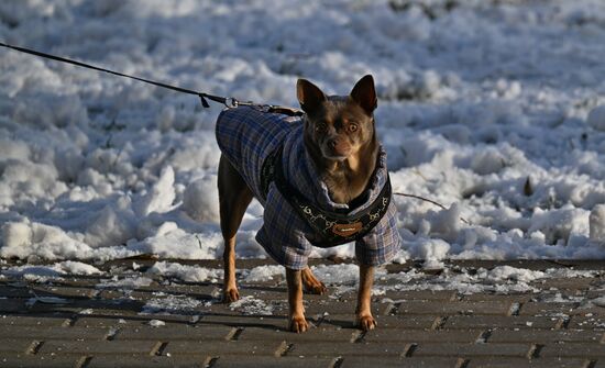 Повседневная жизнь в городах России