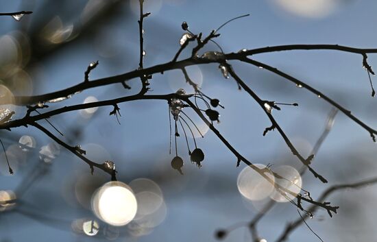 Повседневная жизнь в городах России