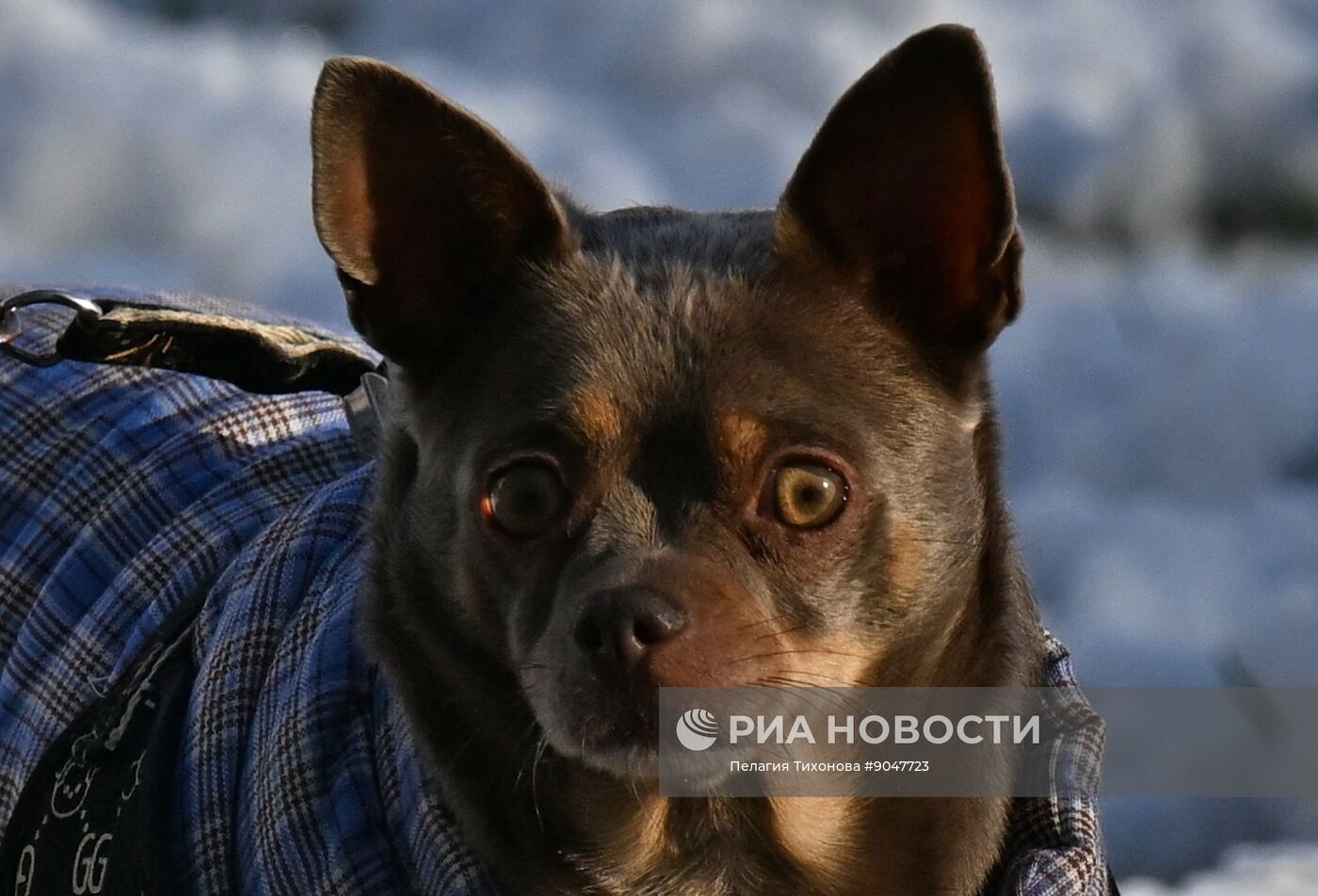 Повседневная жизнь в городах России