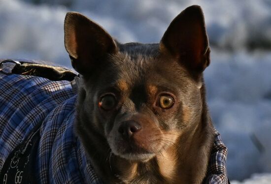 Повседневная жизнь в городах России