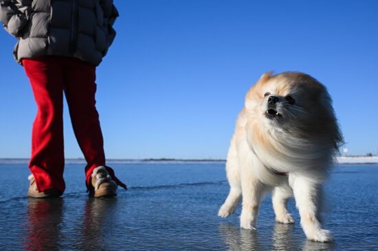Повседневная жизнь в городах России