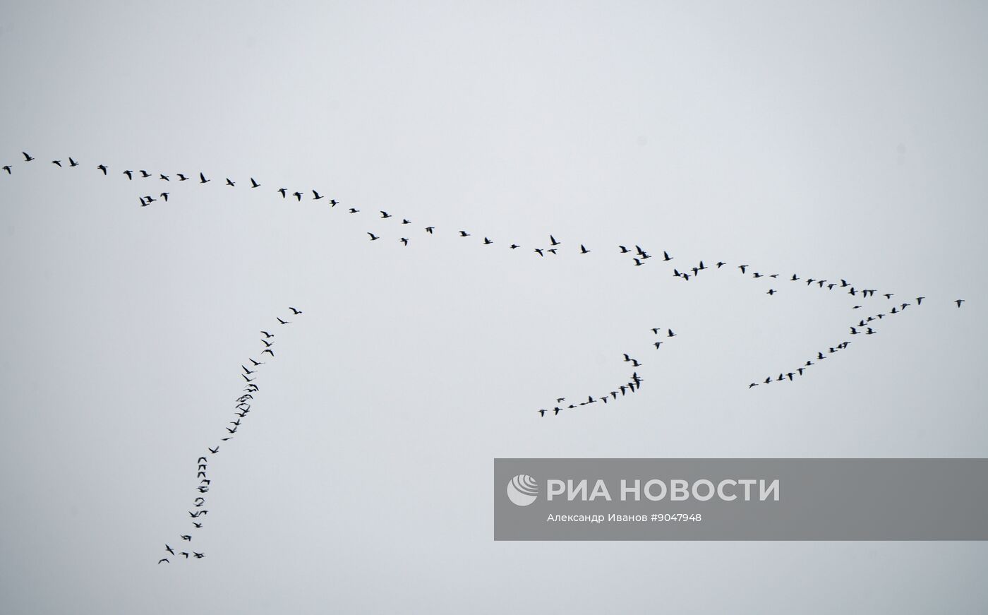 Повседневная жизнь в городах России