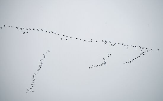 Повседневная жизнь в городах России
