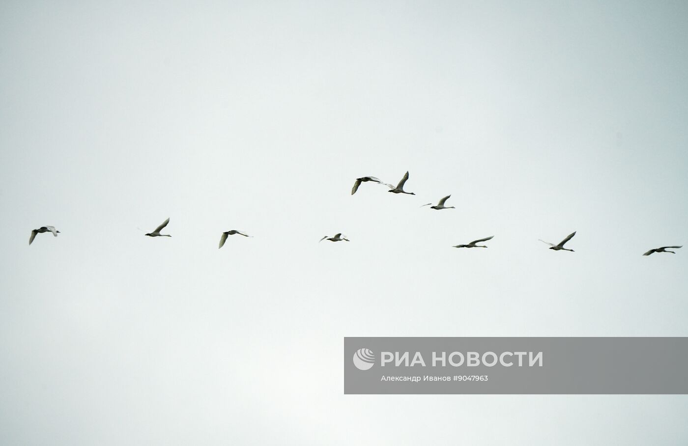 Повседневная жизнь в городах России