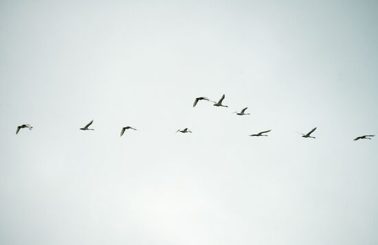 Повседневная жизнь в городах России