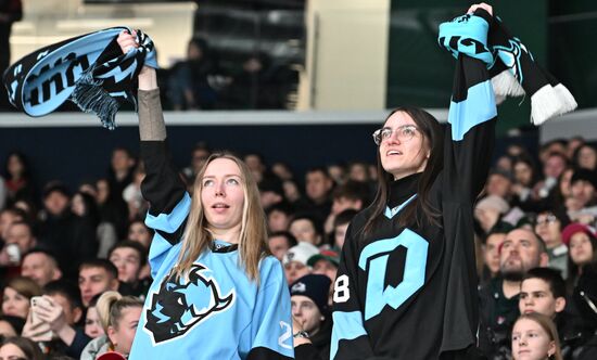 Хоккей. КХЛ. "Ак Барс" (Казань) - "Динамо Мн" (Минск)