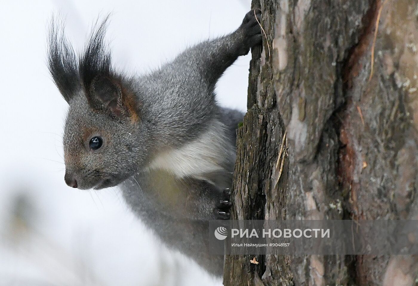Повседневная жизнь в городах России