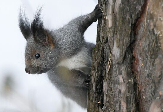 Повседневная жизнь в городах России