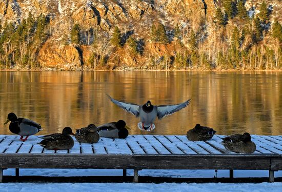 Повседневная жизнь в городах России