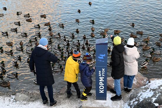 Повседневная жизнь в городах России