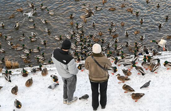 Повседневная жизнь в городах России