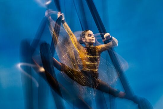 Чемпионат России по воздушной гимнастике