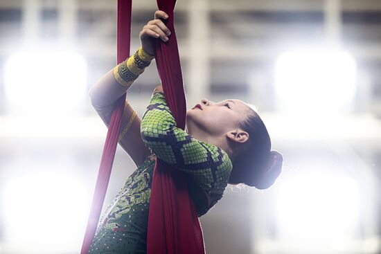 Чемпионат России по воздушной гимнастике