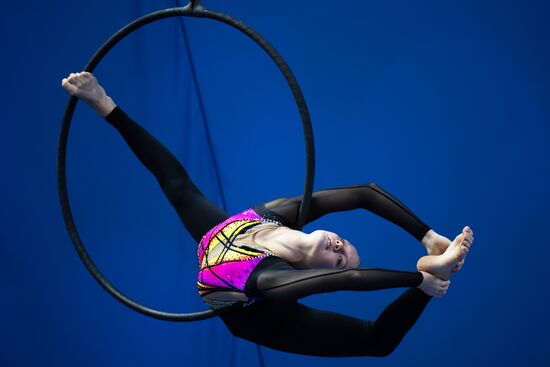 Чемпионат России по воздушной гимнастике