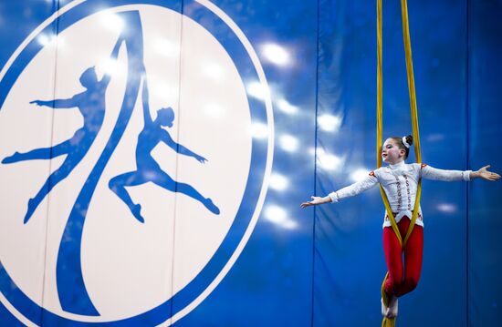 Чемпионат России по воздушной гимнастике