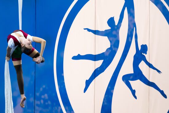 Чемпионат России по воздушной гимнастике