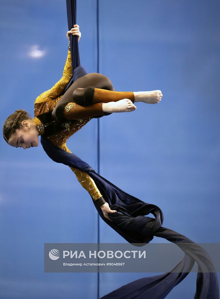 Чемпионат России по воздушной гимнастике