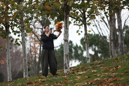 Теплая погода в Краснодаре