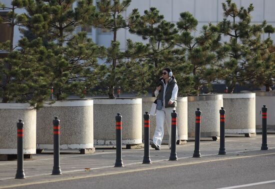 Теплая погода в Краснодаре