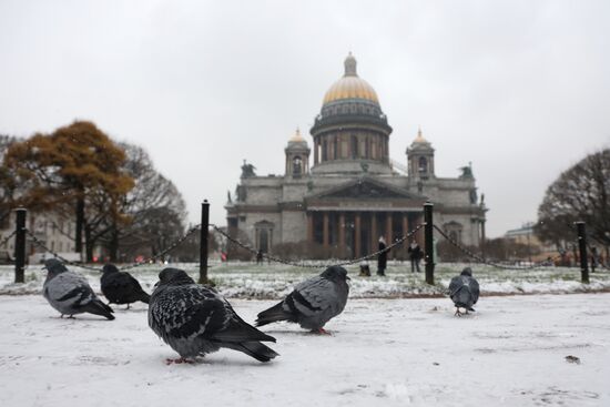 Снег в Санкт-Петербурге