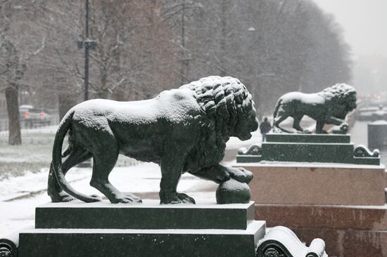 Снег в Санкт-Петербурге Снег в Санкт-Петербурге