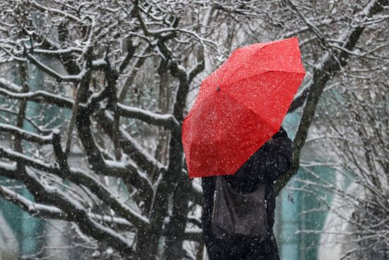 Снег в Санкт-Петербурге