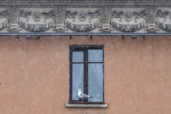 Снег в Санкт-Петербурге