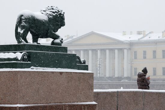 Снег в Санкт-Петербурге Снег в Санкт-Петербурге