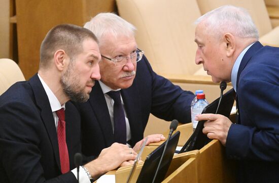 Пленарное заседание Госдумы РФ