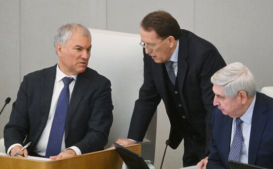 Пленарное заседание Госдумы РФ