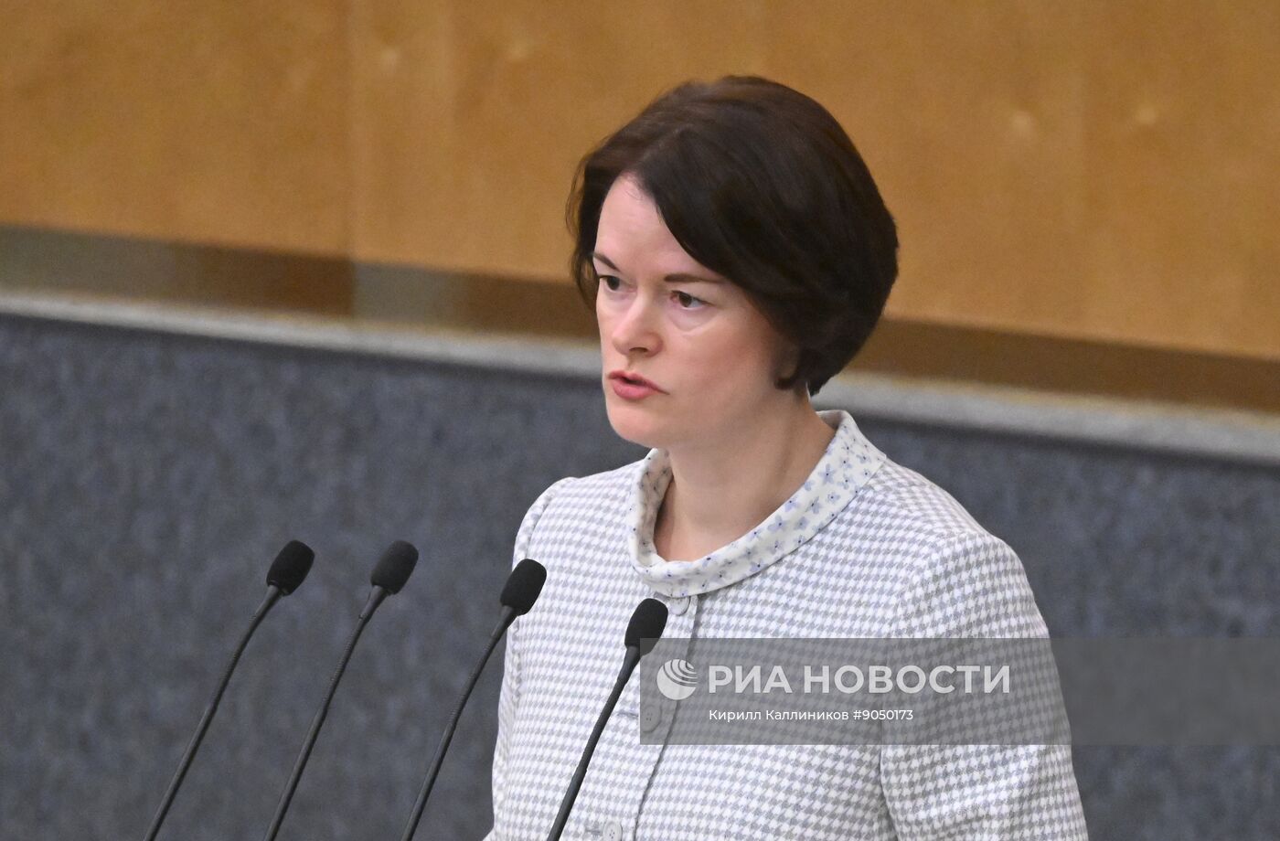 Пленарное заседание Госдумы РФ