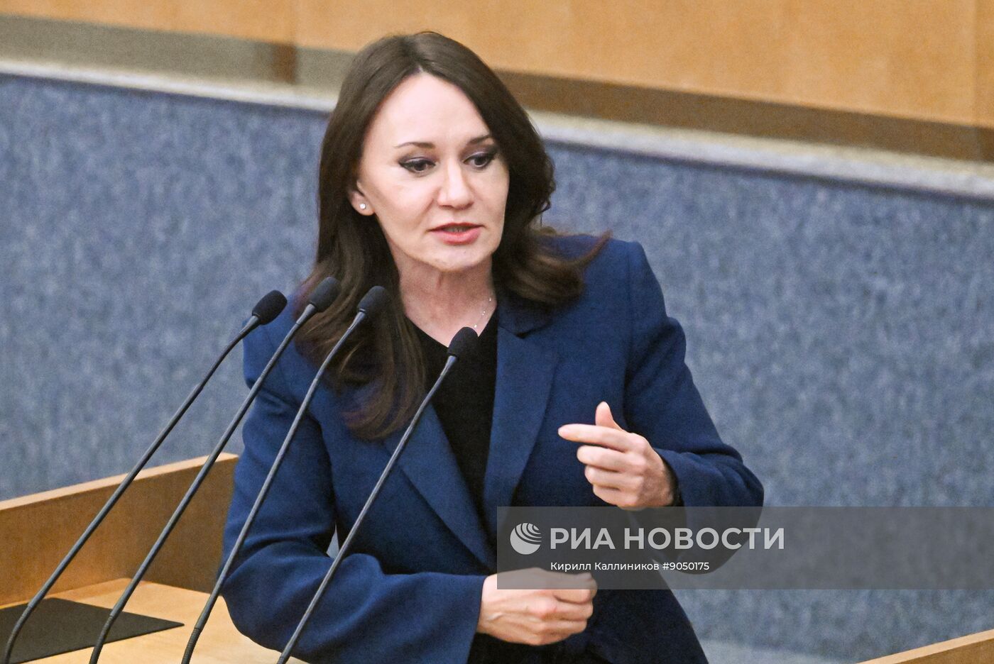 Пленарное заседание Госдумы РФ