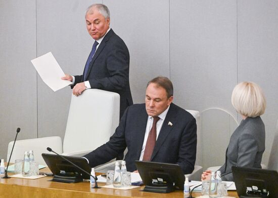 Пленарное заседание Госдумы РФ