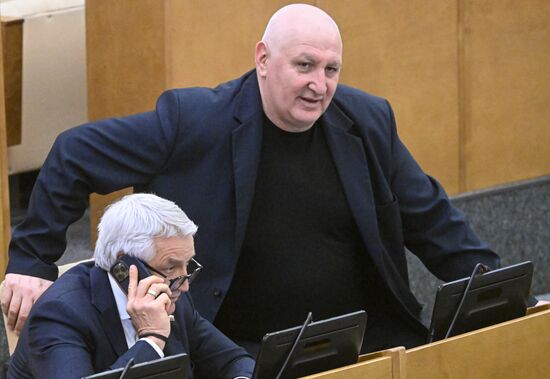 Пленарное заседание Госдумы РФ