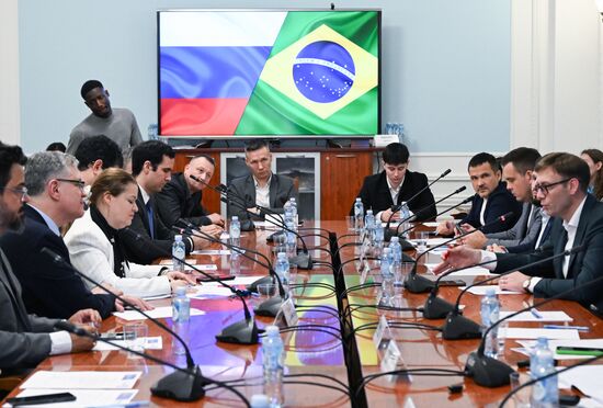 Встреча представителей российского бизнеса с бразильской делегацией