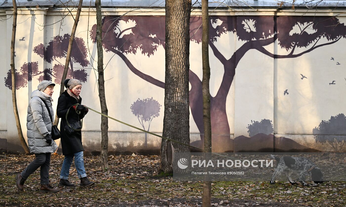 Повседневная жизнь