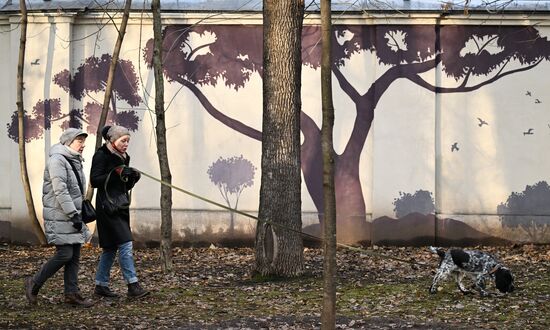 Повседневная жизнь