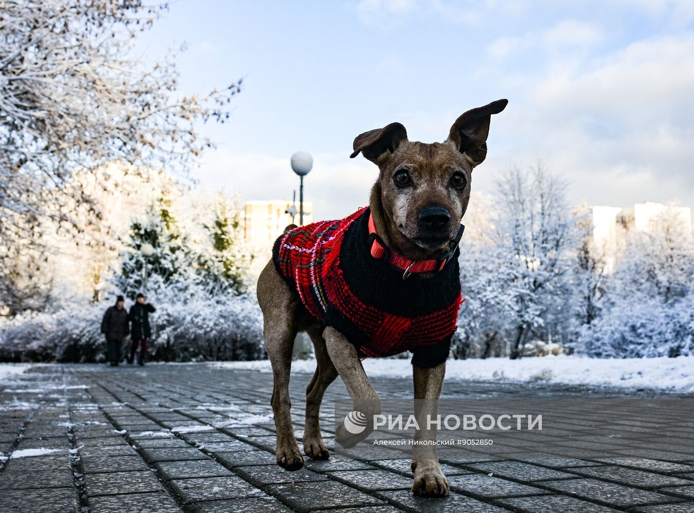 Повседневная жизнь в городах России