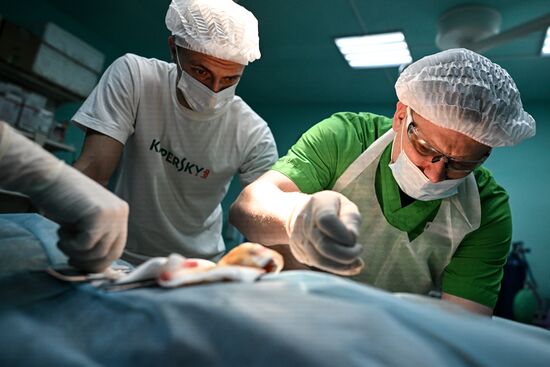 Передовой госпиталь спецназа "Ахмат"