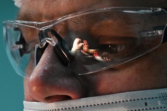 Передовой госпиталь спецназа "Ахмат"