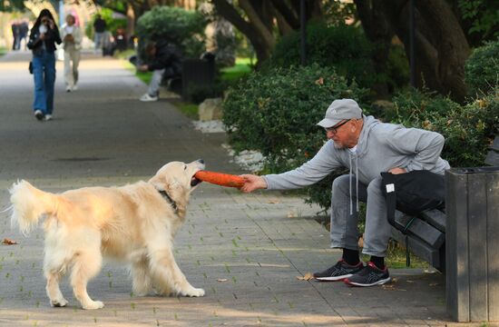 Повседневная жизнь в городах России