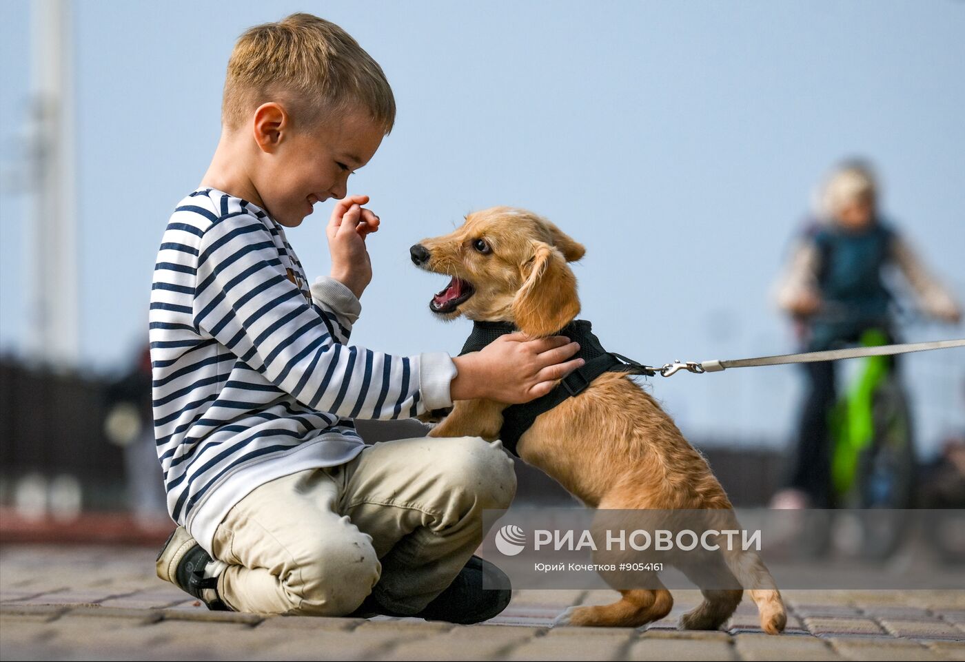 Повседневная жизнь в городах России