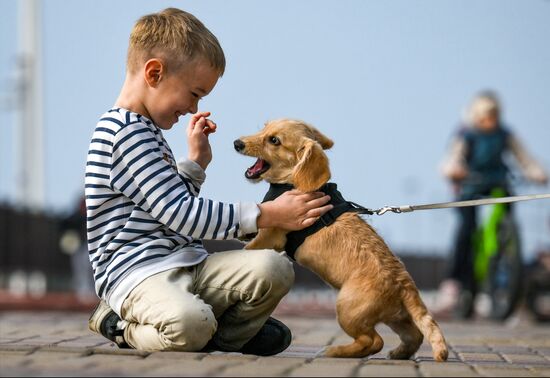 Повседневная жизнь в городах России