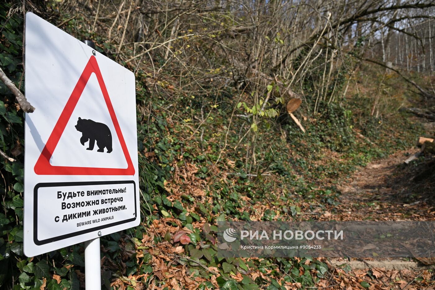 Повседневная жизнь в городах России
