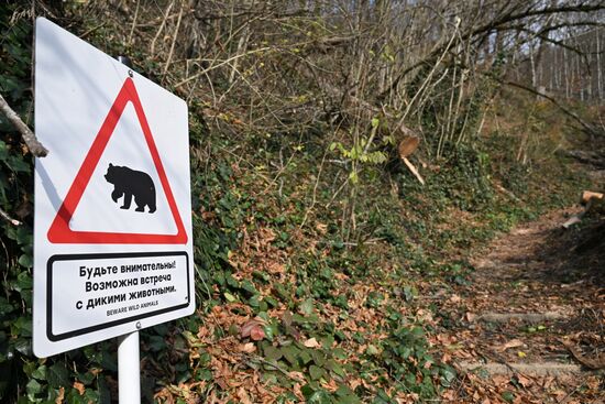 Повседневная жизнь в городах России