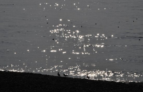 Повседневная жизнь в городах России