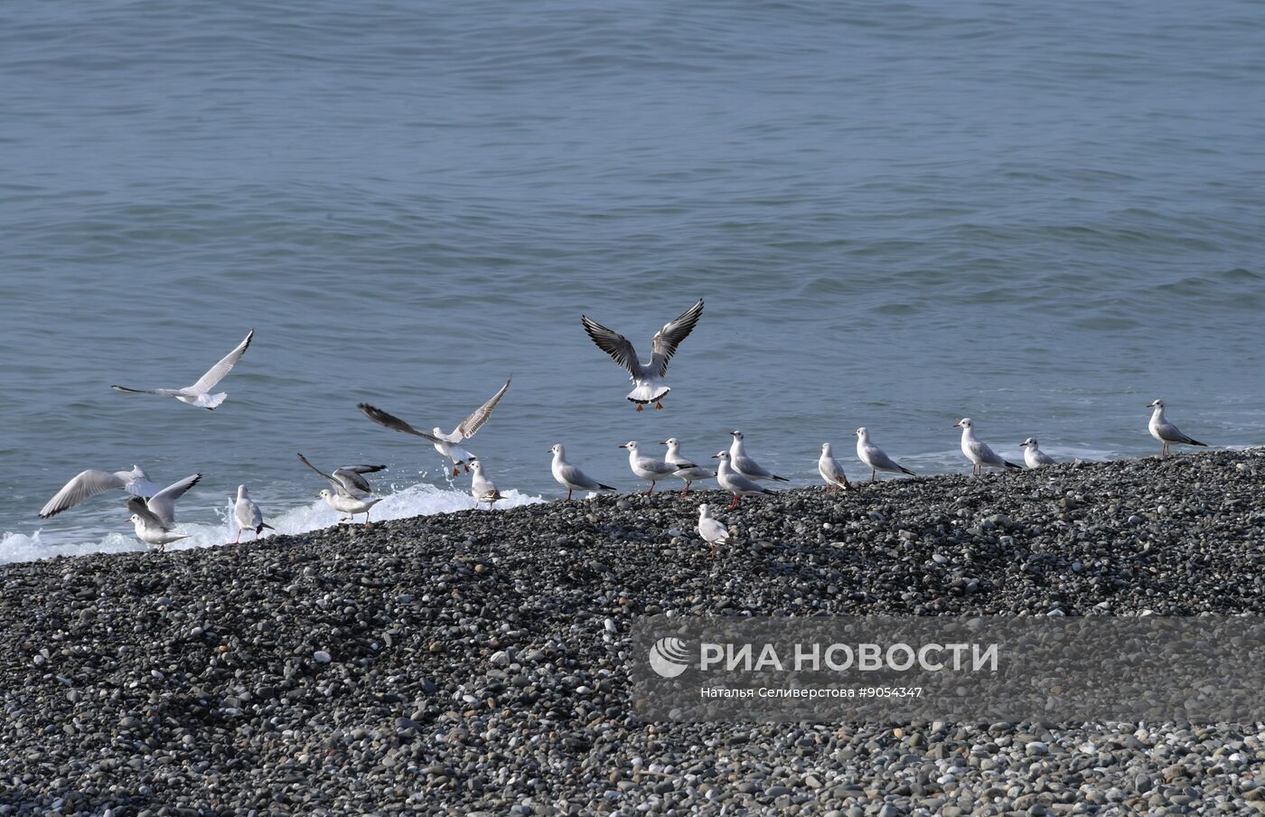 Повседневная жизнь в городах России
