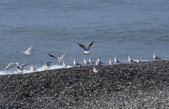 Повседневная жизнь в городах России