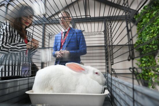 КМУ-2025. Работа конгресса