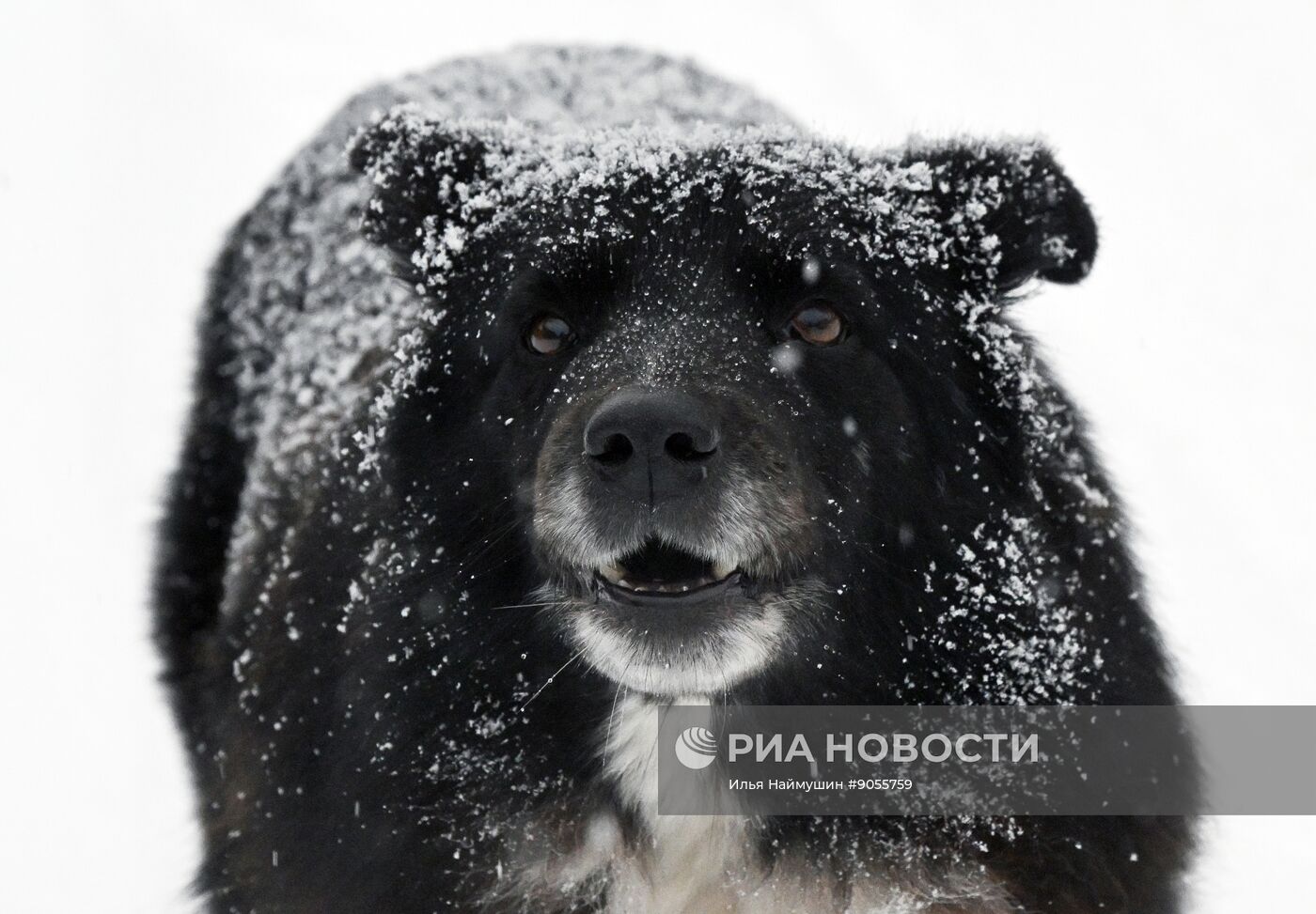 Снежная погода в Красноярском крае